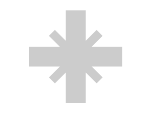 logo_shopguard_gray